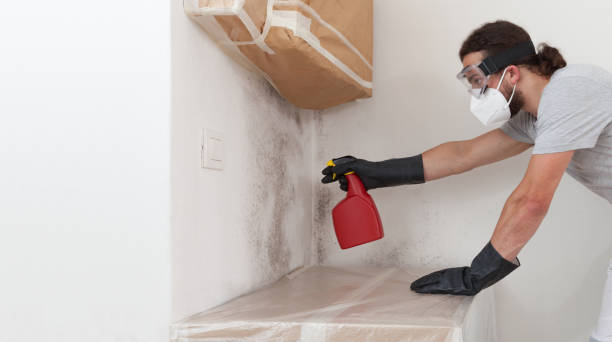 Professional Mold Remediation technician working in Yale, MI
