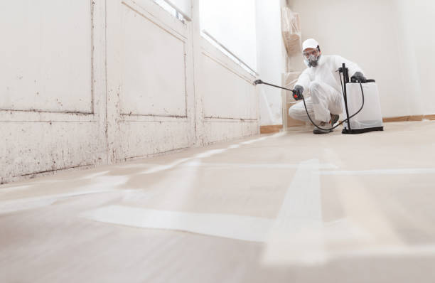 24/7 Emergency Mold Remediation experts in Yale, MI